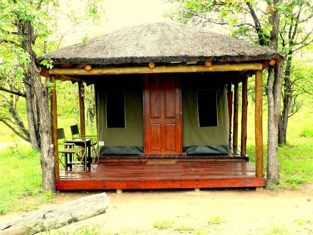 Shindzela Tented Safari Camp