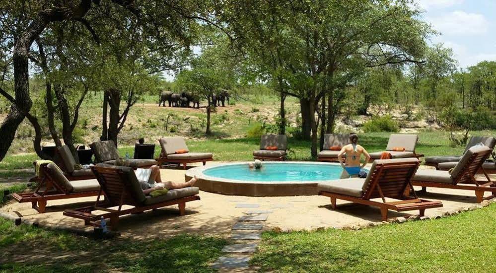 Shindzela Tented Safari Camp