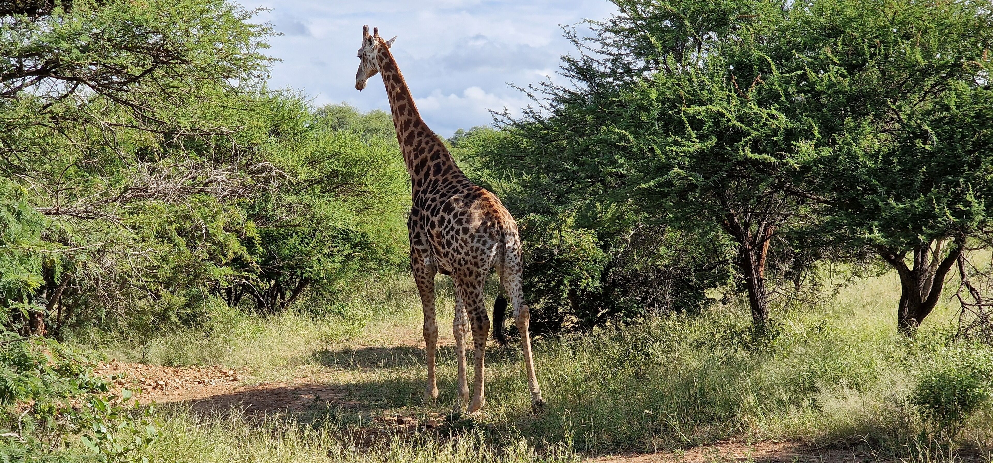 Thandolwami Bush Lodge & Spa
