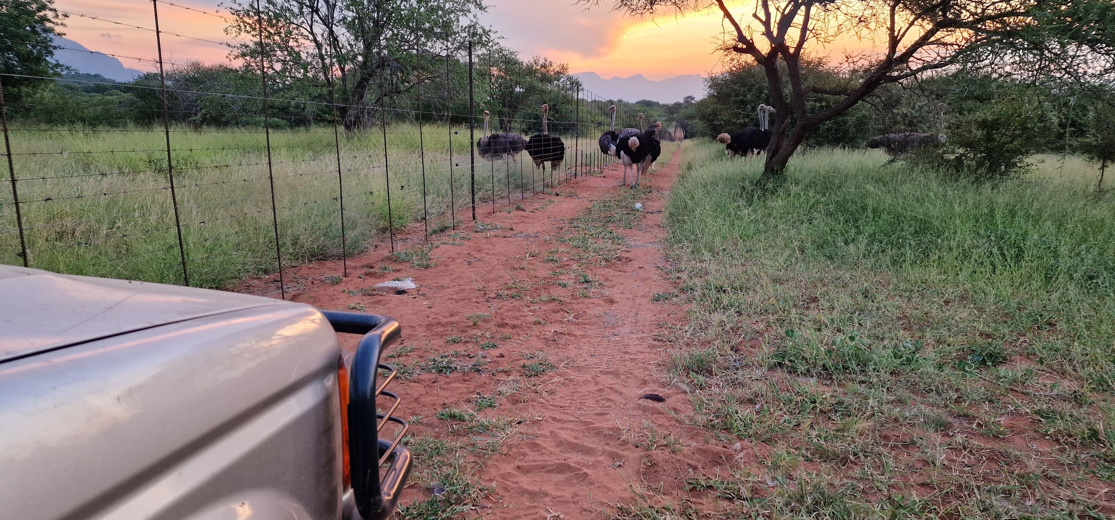 Thandolwami Bush Lodge & Spa