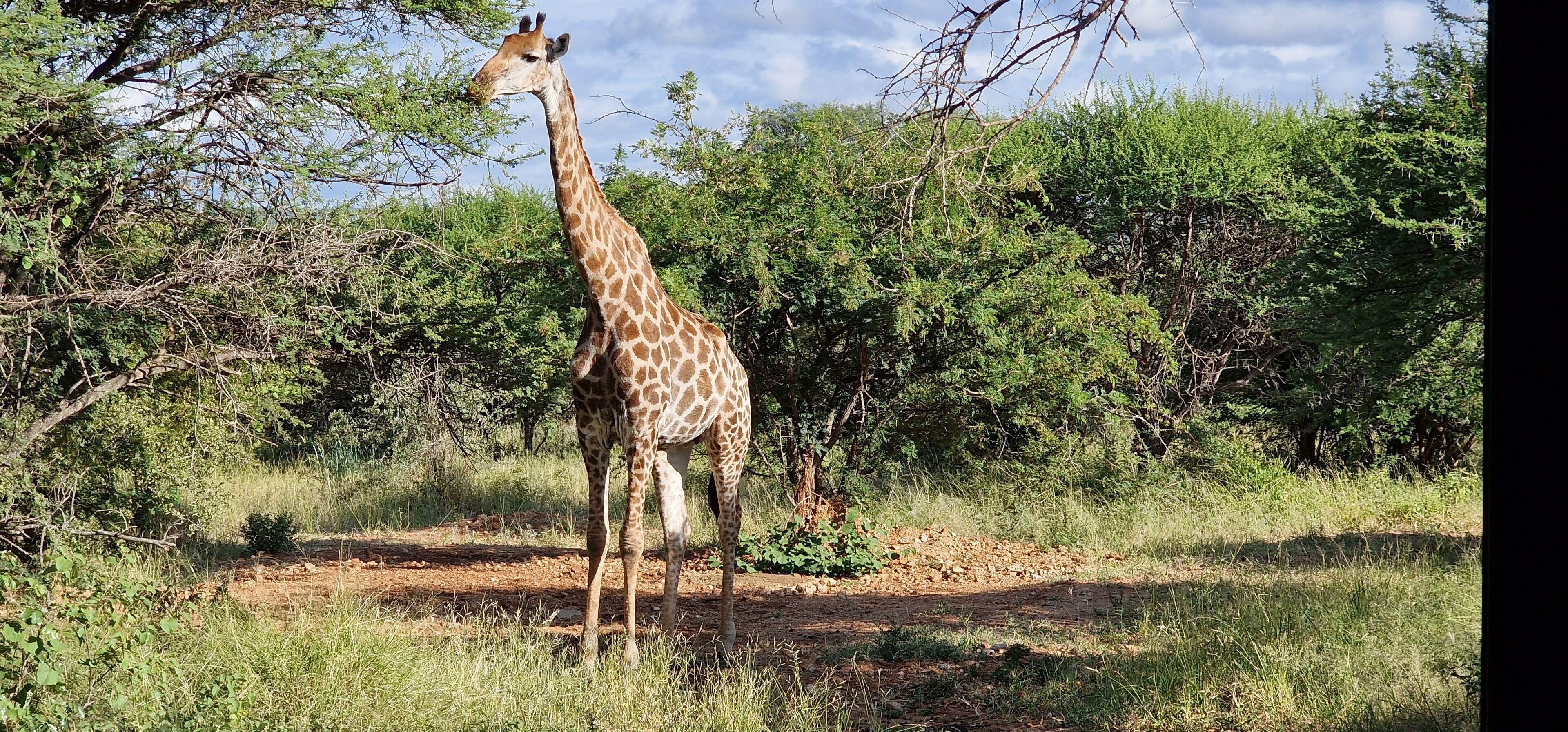 Thandolwami Bush Lodge & Spa