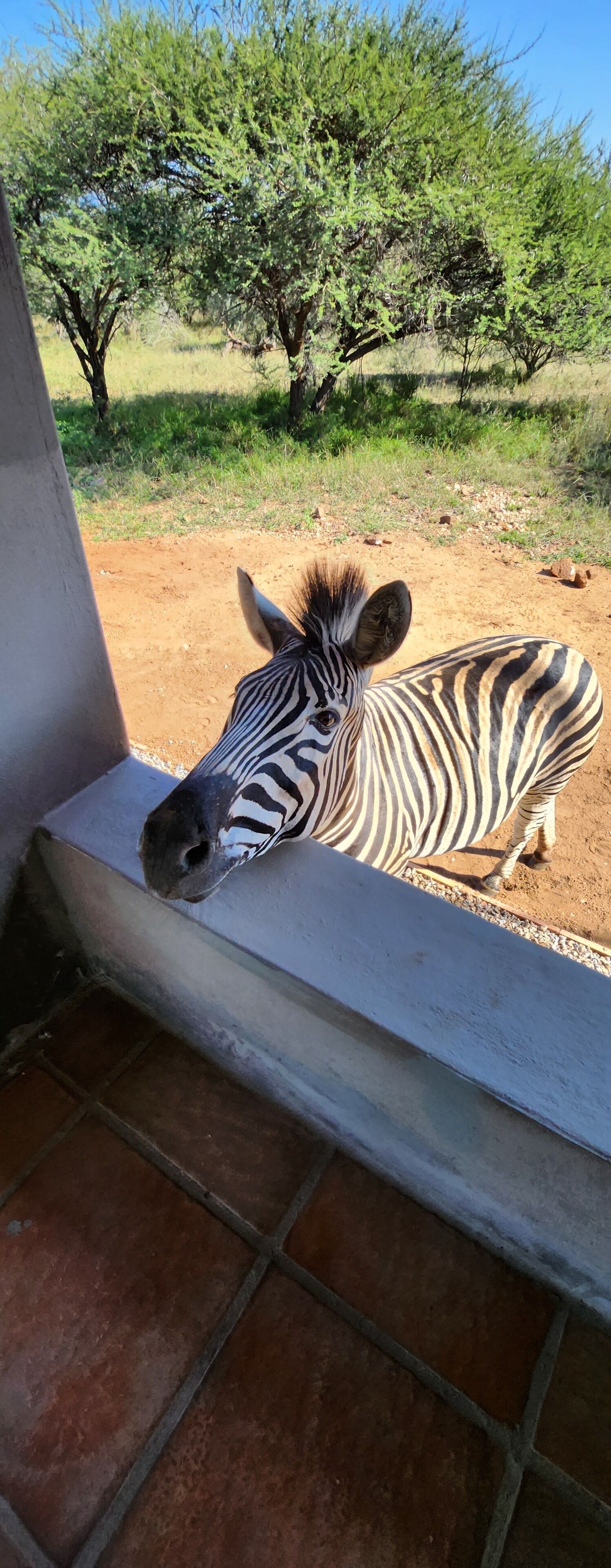 Thandolwami Bush Lodge & Spa