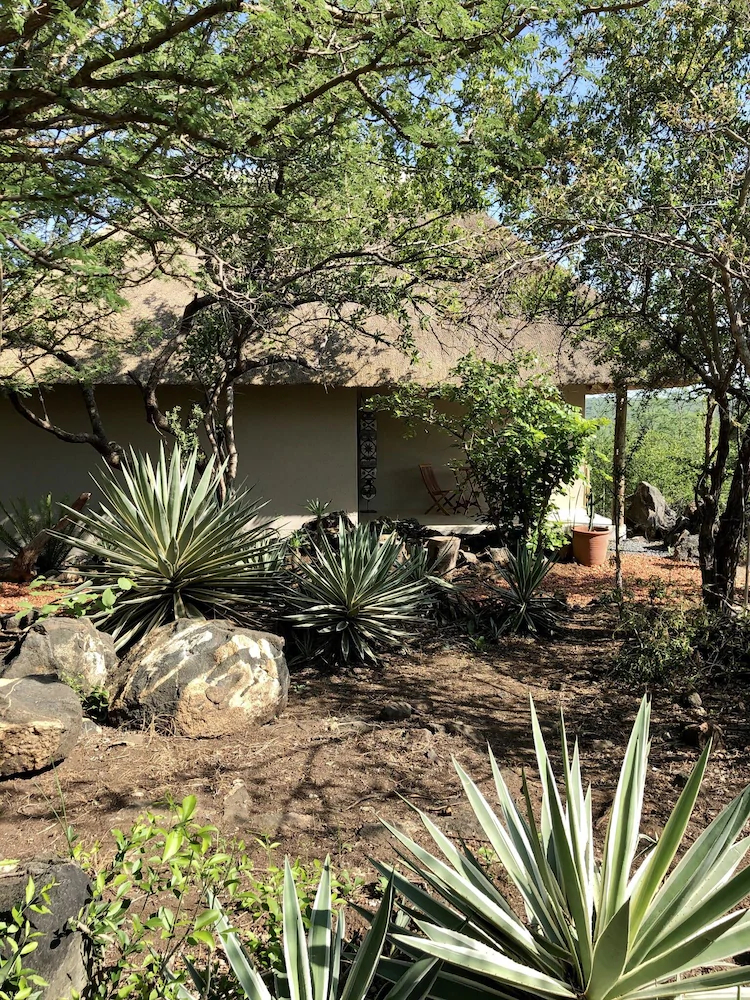 The Wild Blue Lodge