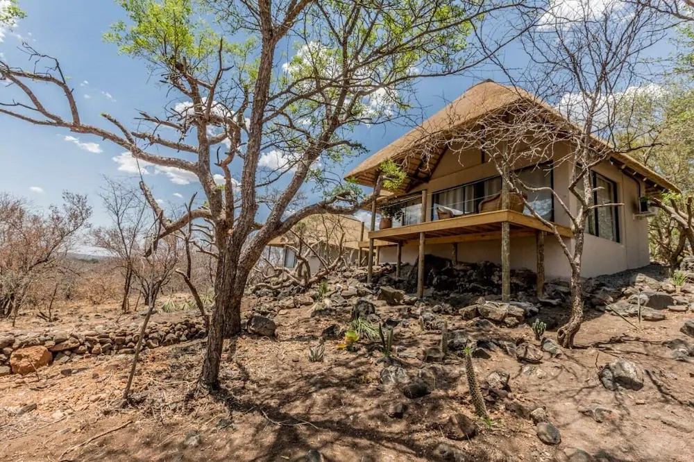 The Wild Blue Lodge