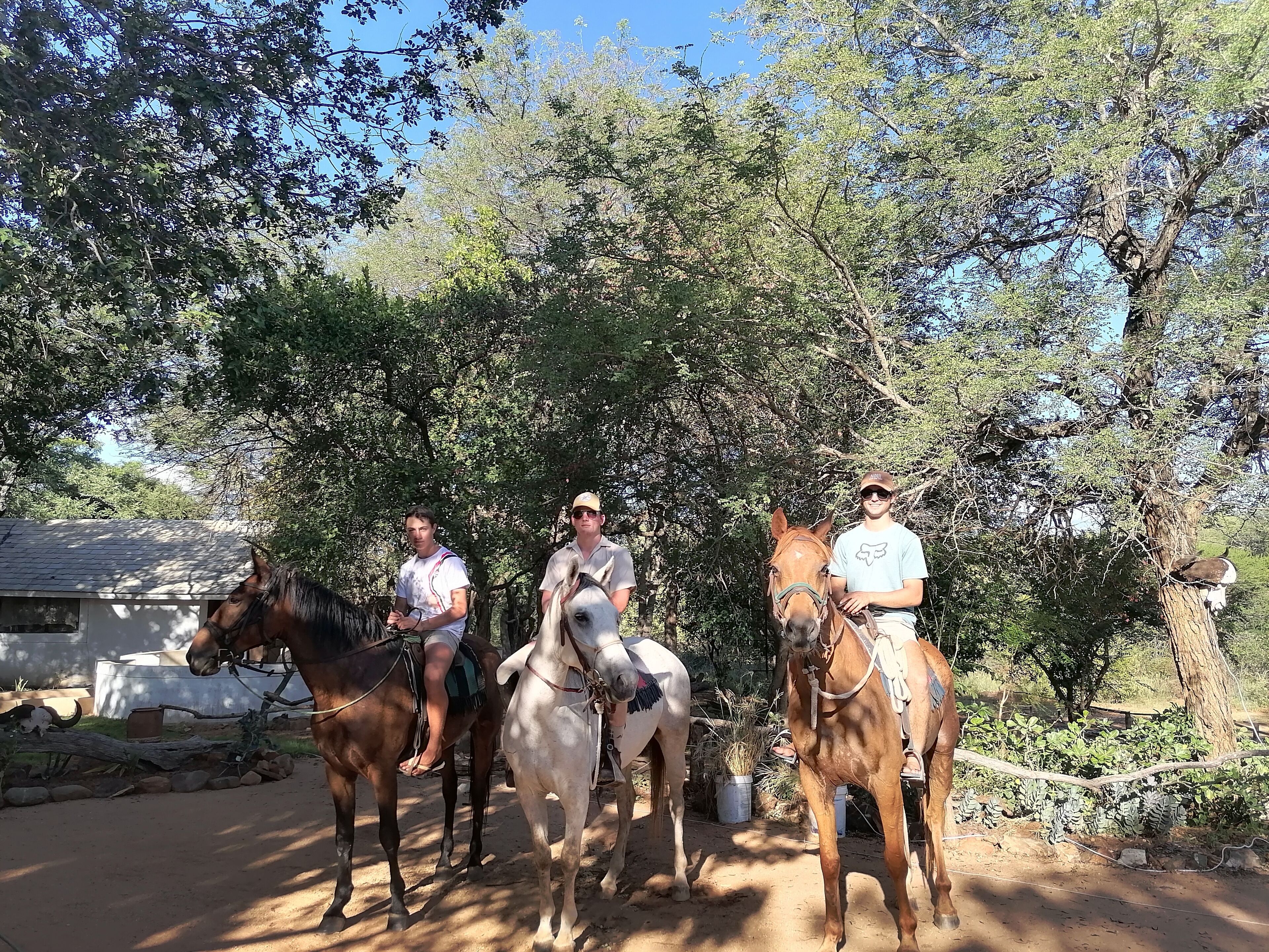 The Wild Horison Lodge