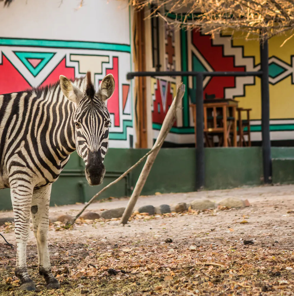 Timbavati Safari Lodge