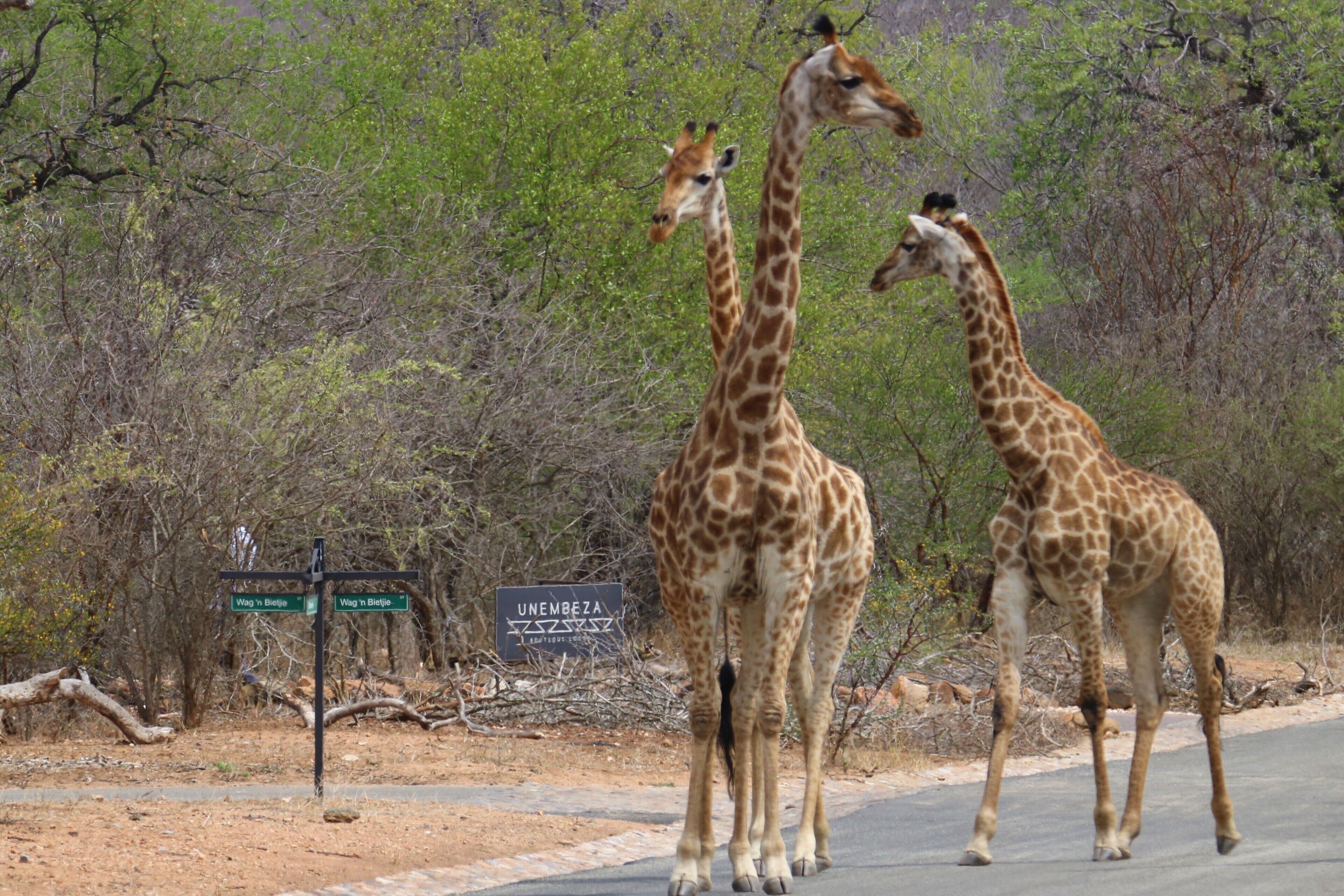 Unembeza Boutique Lodge