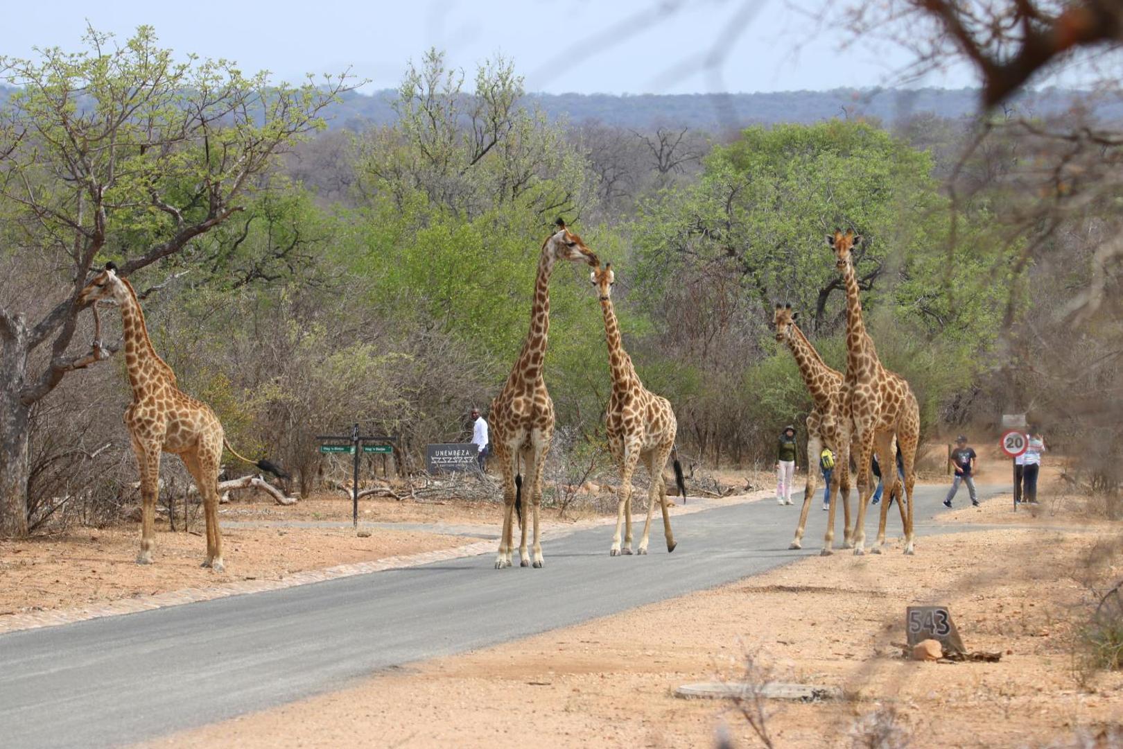 Unembeza Boutique Lodge
