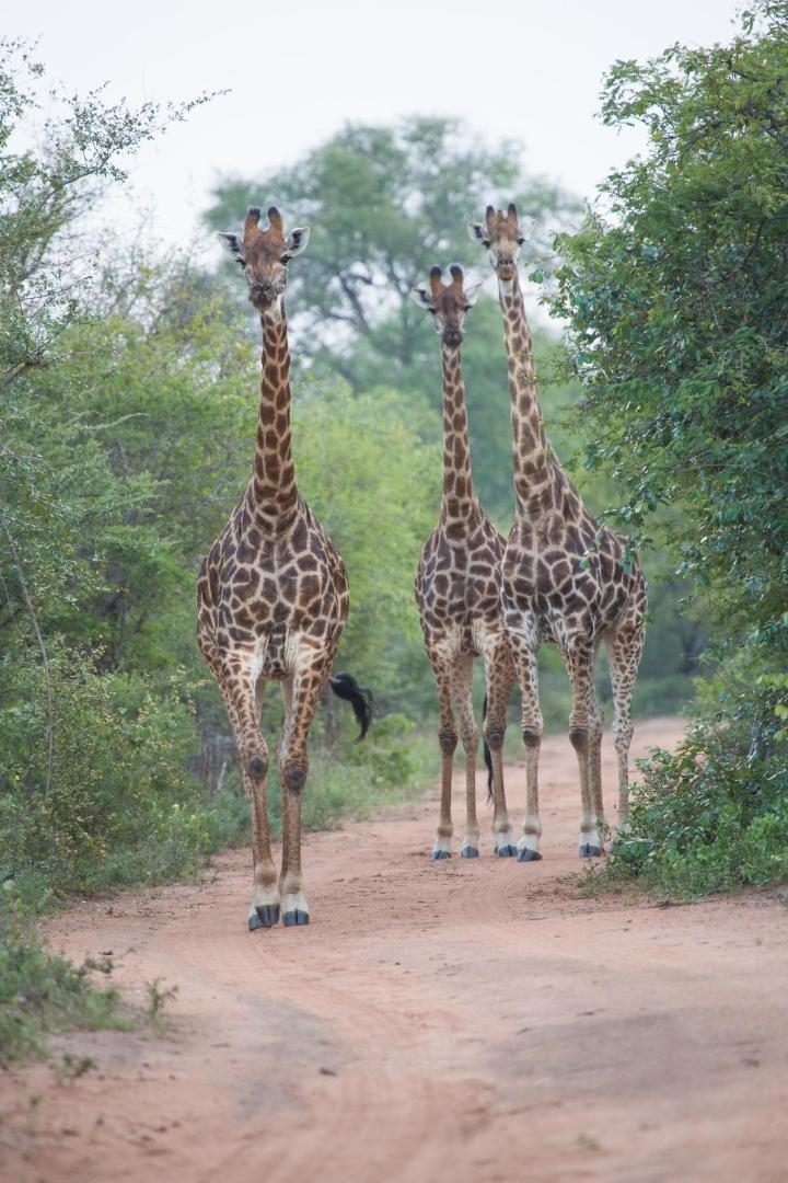 Unembeza Boutique Lodge