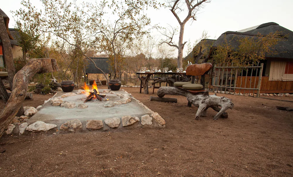 Ximongwe Safaris
