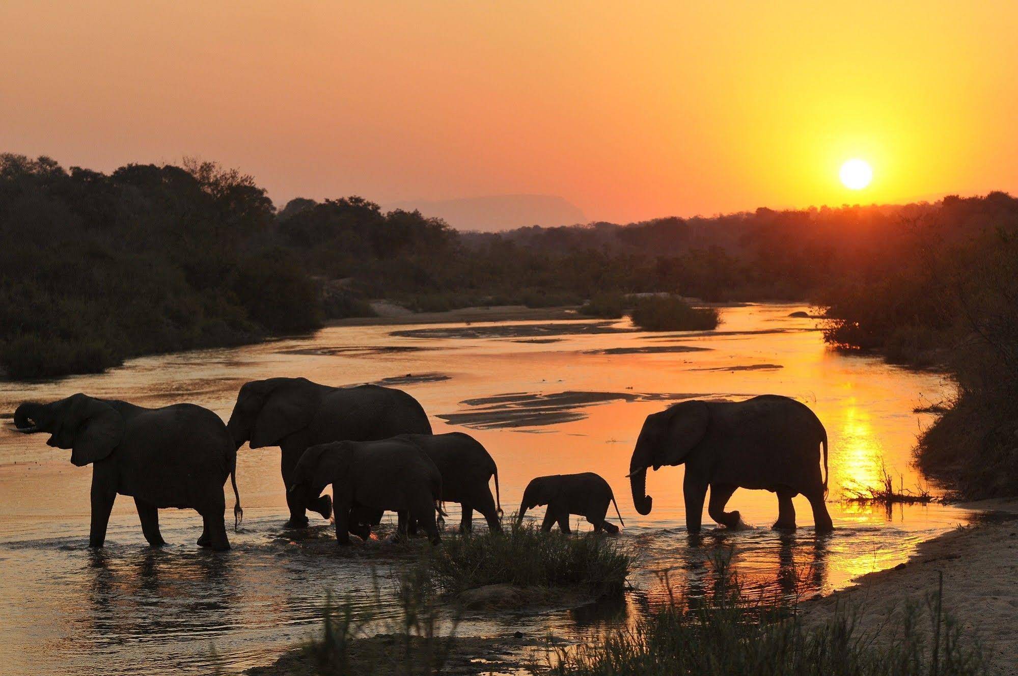 Inyati Game Lodge