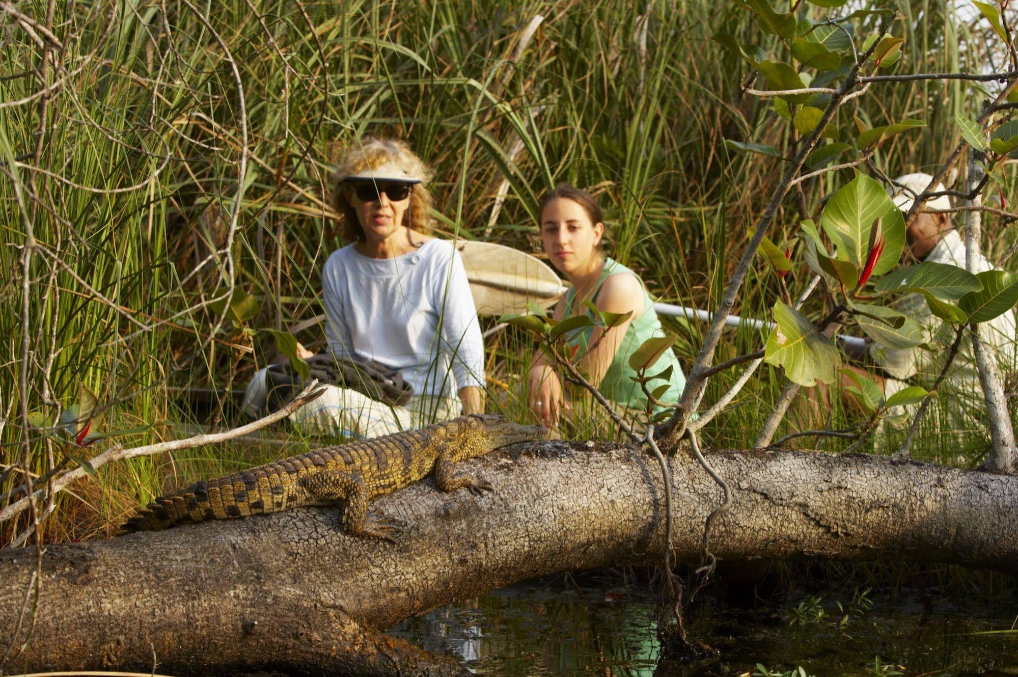 Kosi Forest Lodge