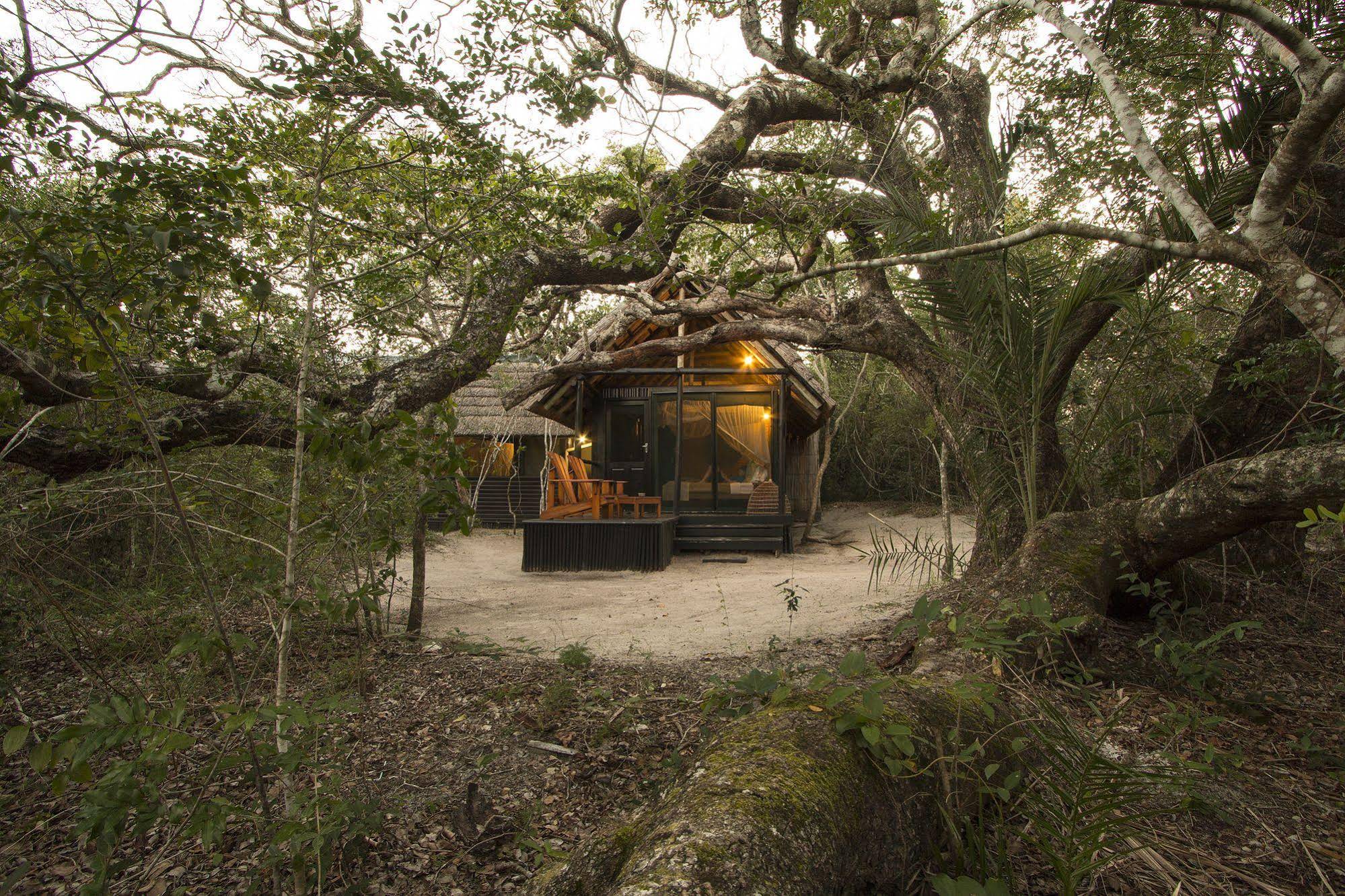 Kosi Forest Lodge