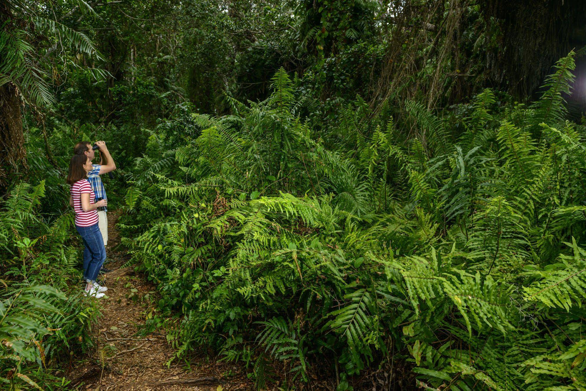 Kosi Forest Lodge