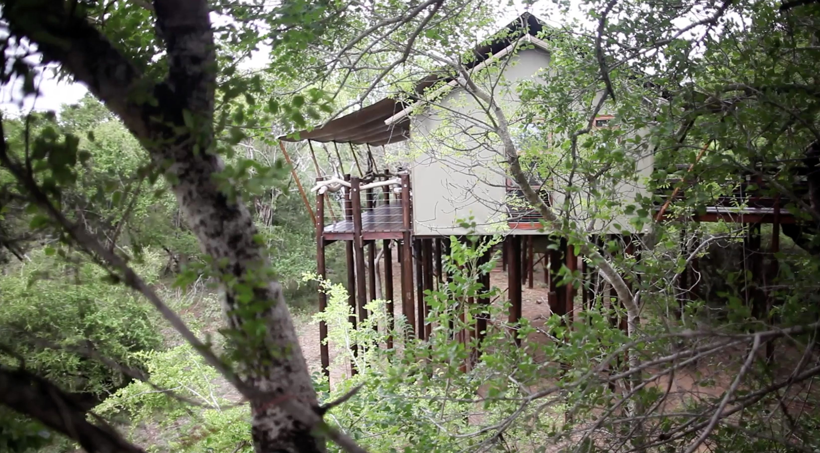 Buffalo Camp