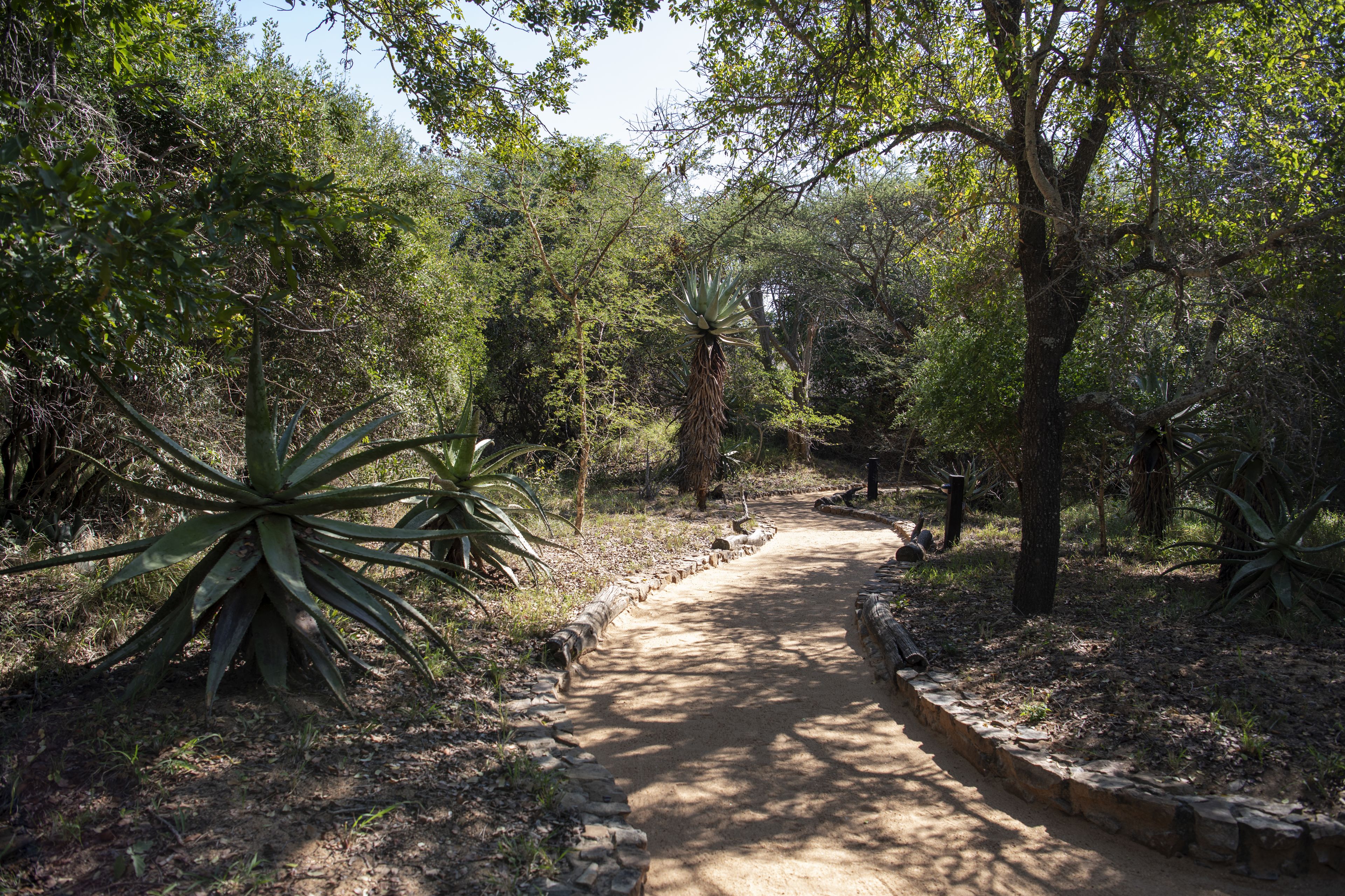 Jabulani