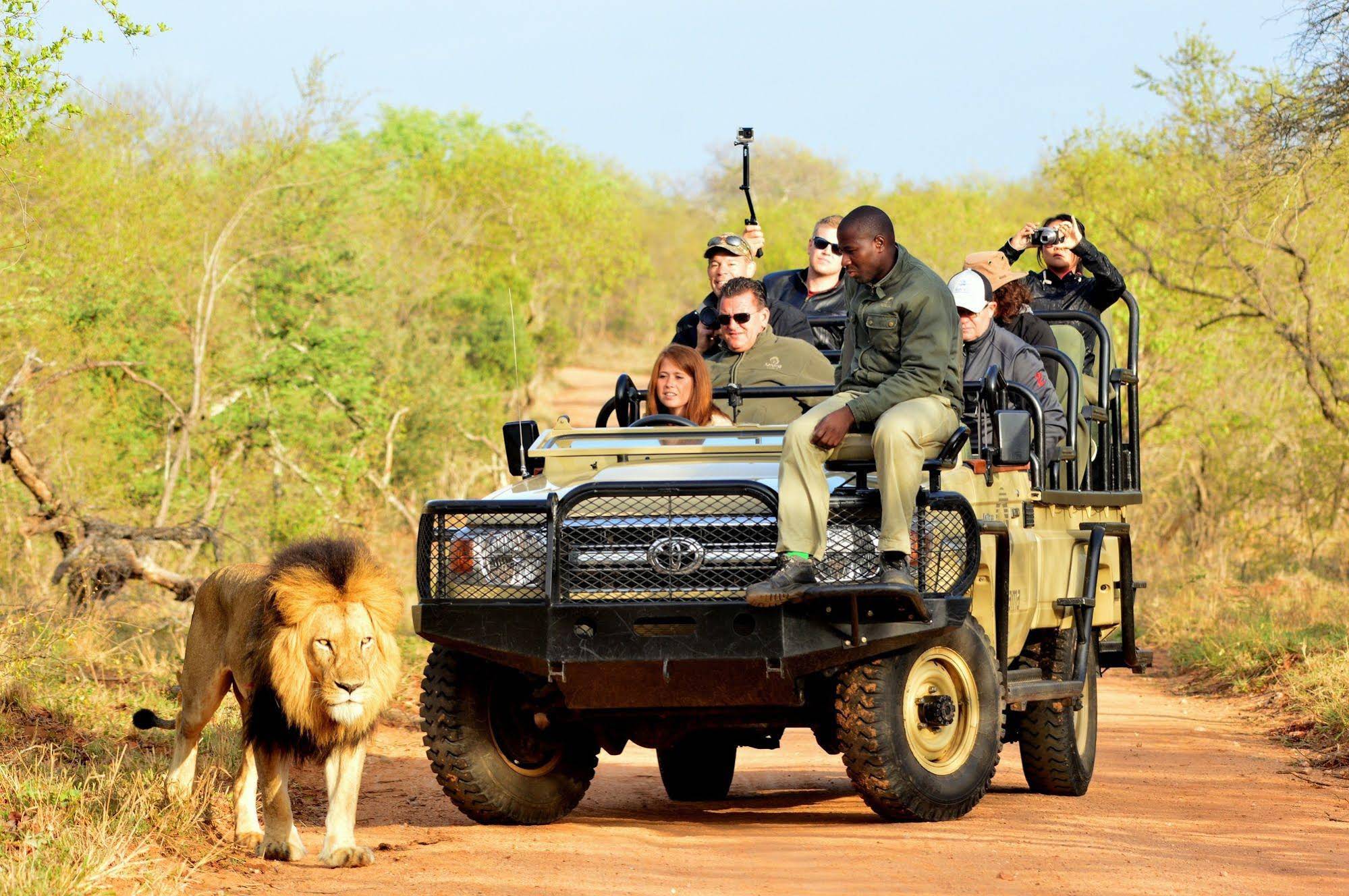 Kapama Southern Camp