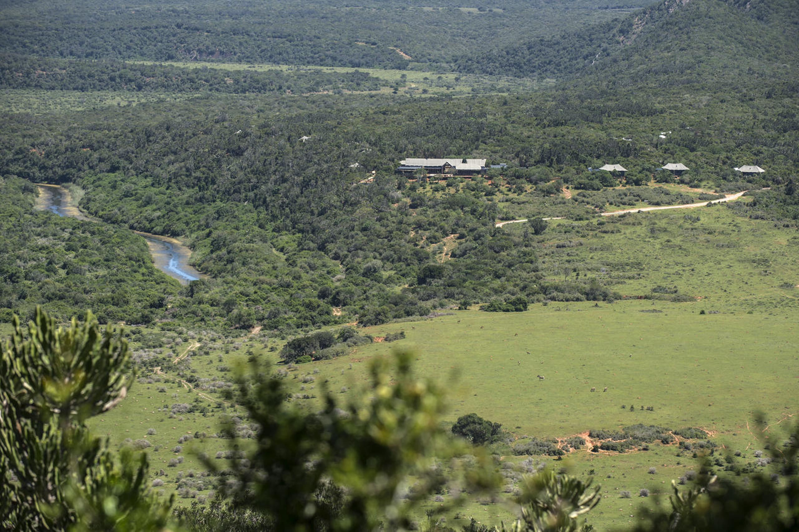 Kariega Game Reserve Settlers Drift