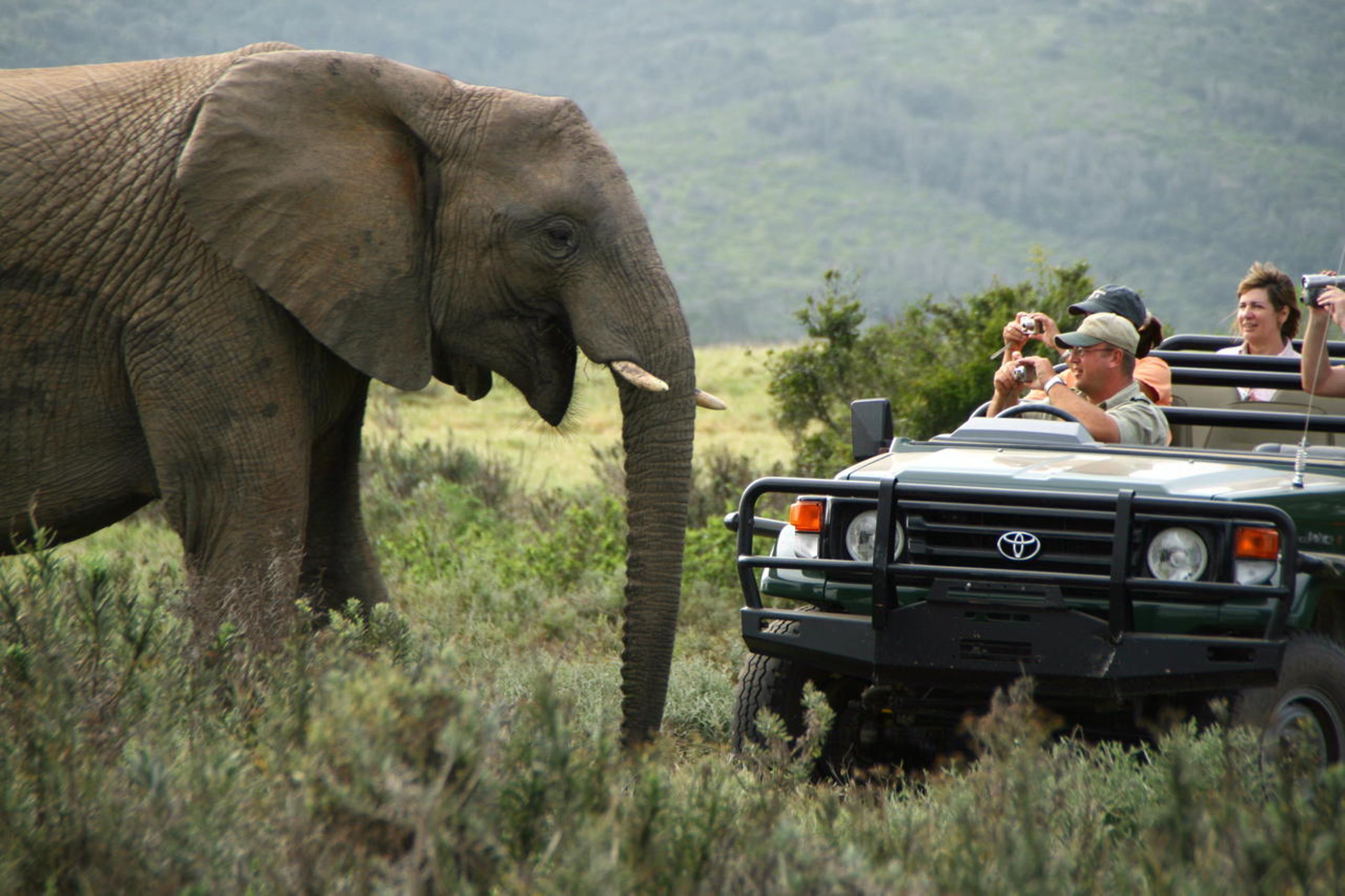Kariega Game Reserve Ukhozi Lodge