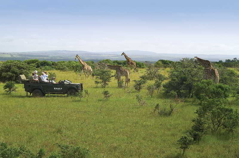 Kariega Game Reserve Ukhozi Lodge