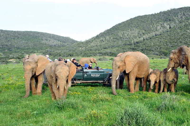 Kariega Game Reserve Ukhozi Lodge