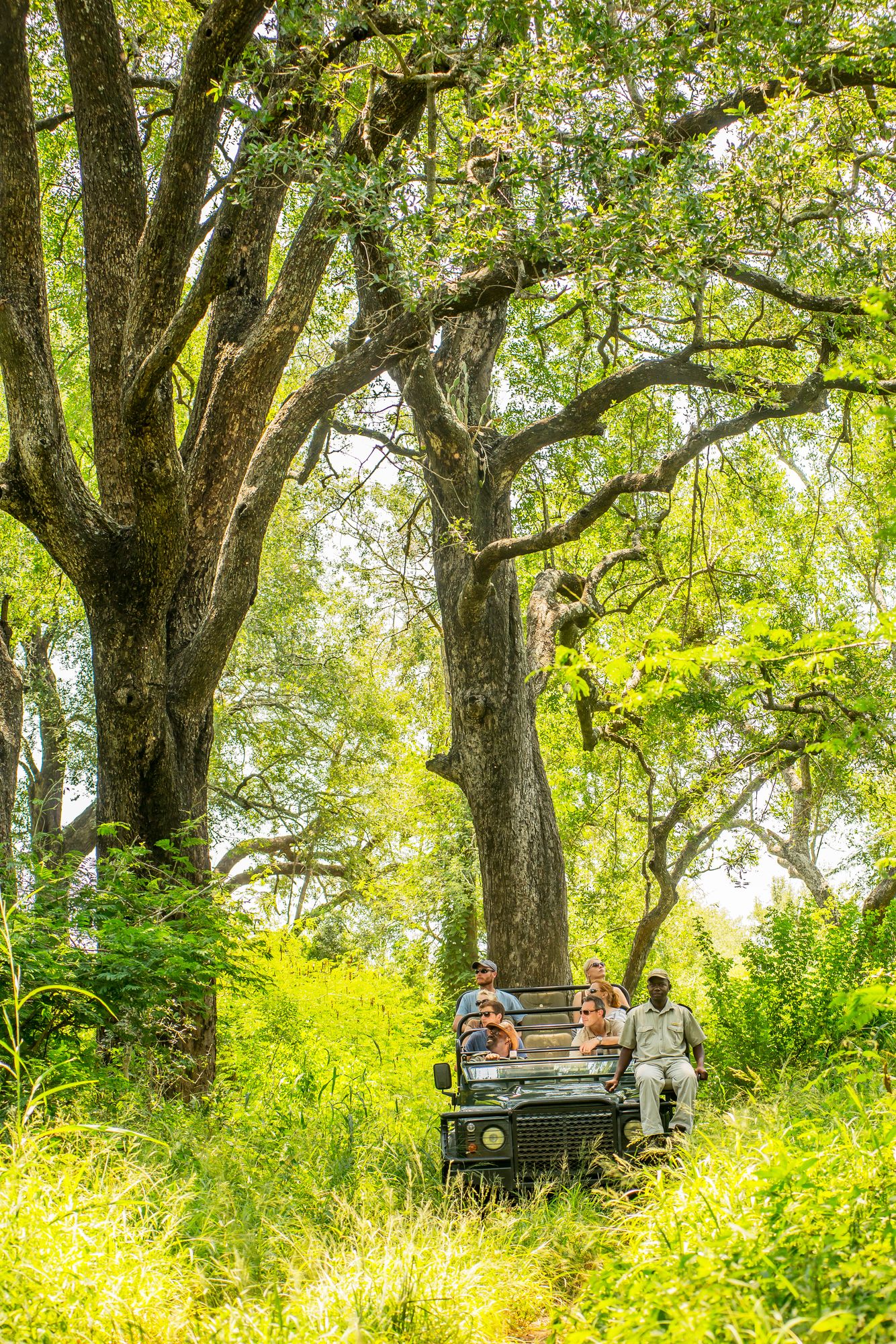 Chisomo Safari Camp