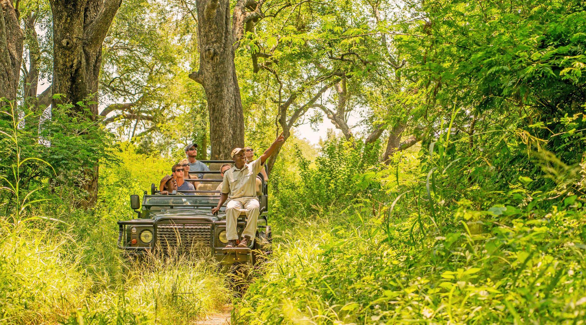 Karongwe River Lodge