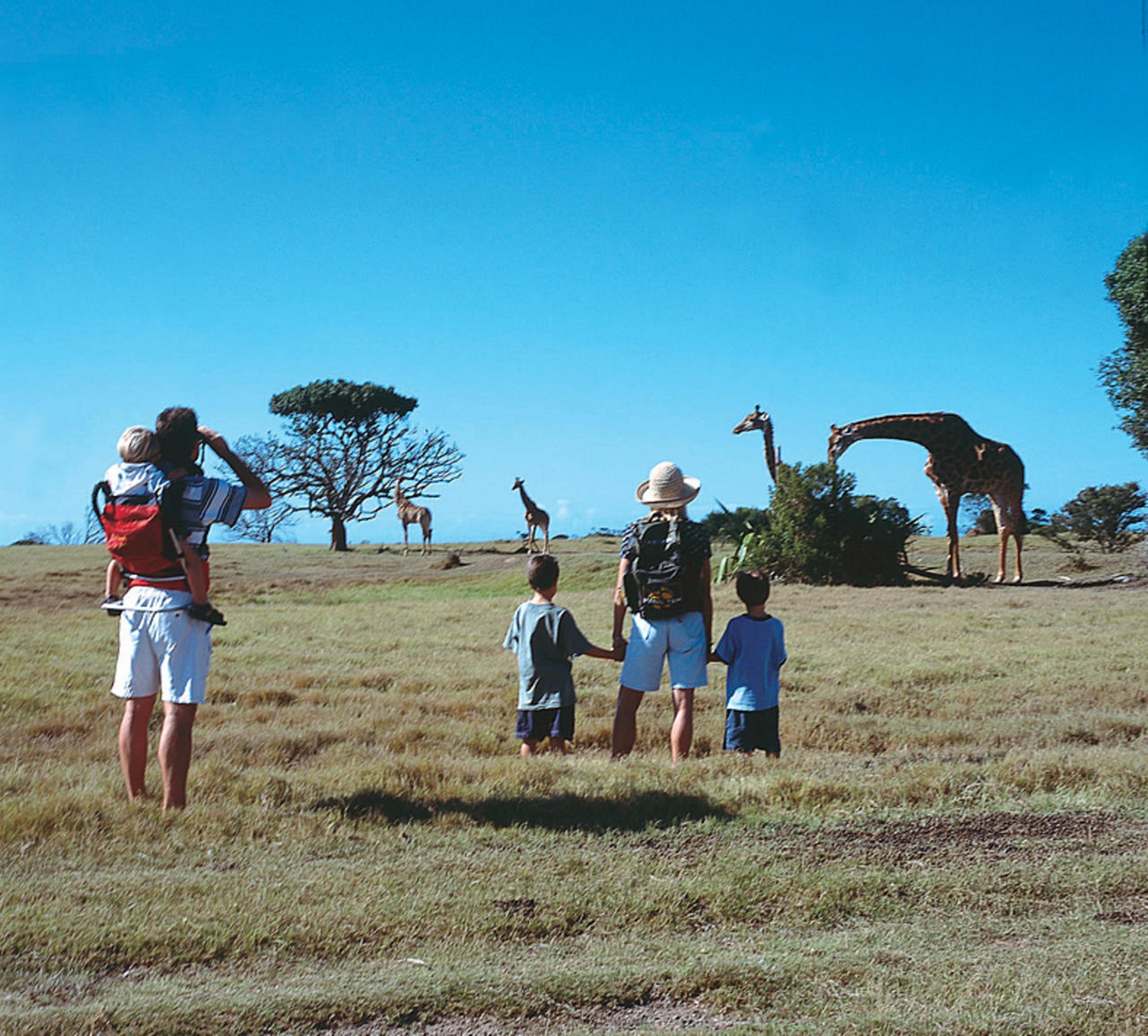Kariega Game Reserve The Homestead