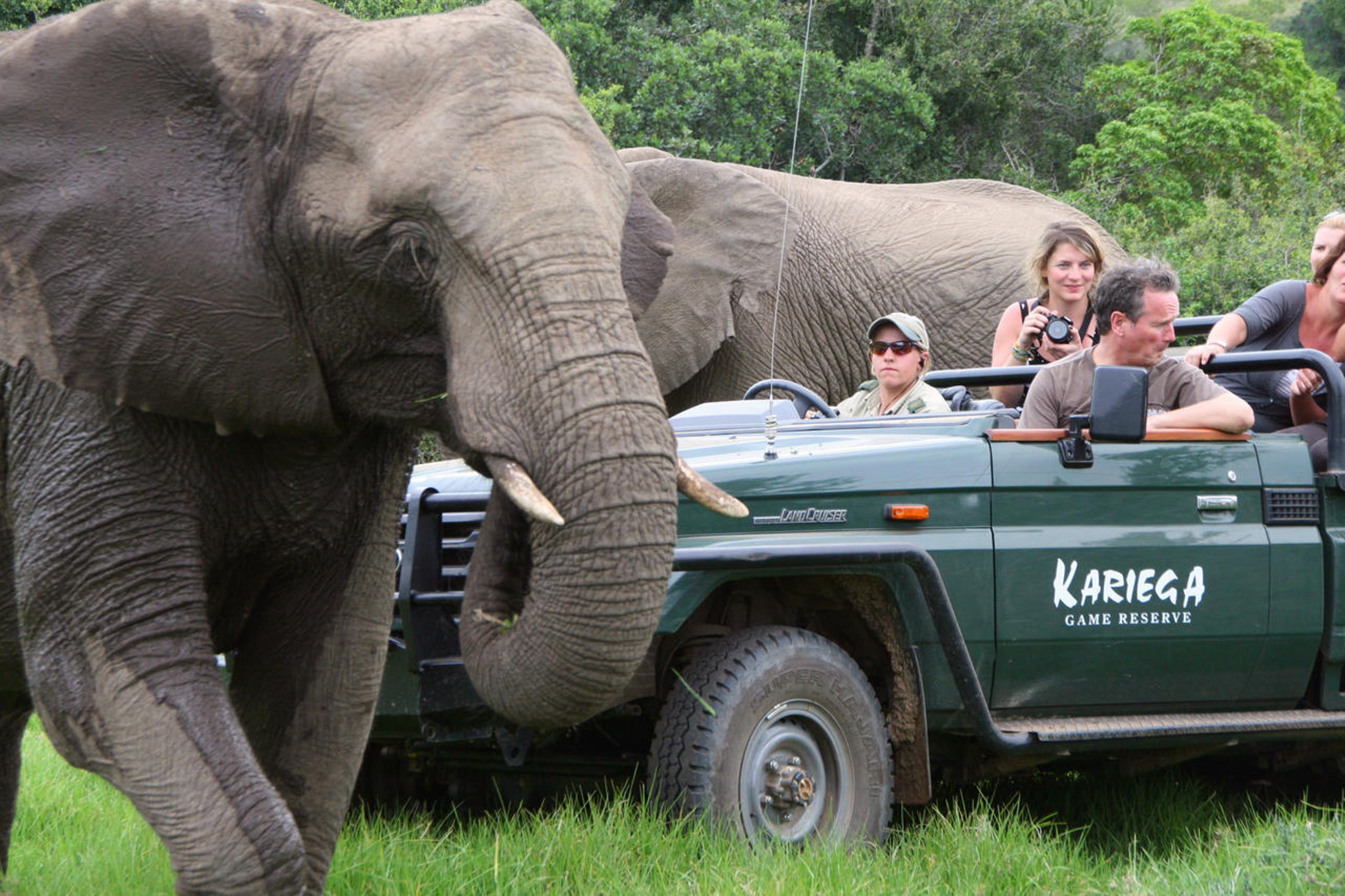 Kariega Game Reserve The Homestead
