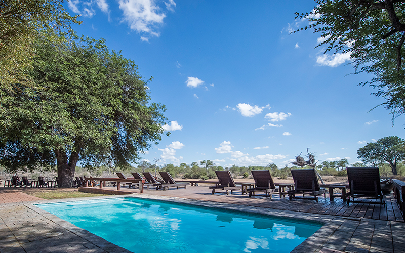 Gomo Gomo Game Lodge