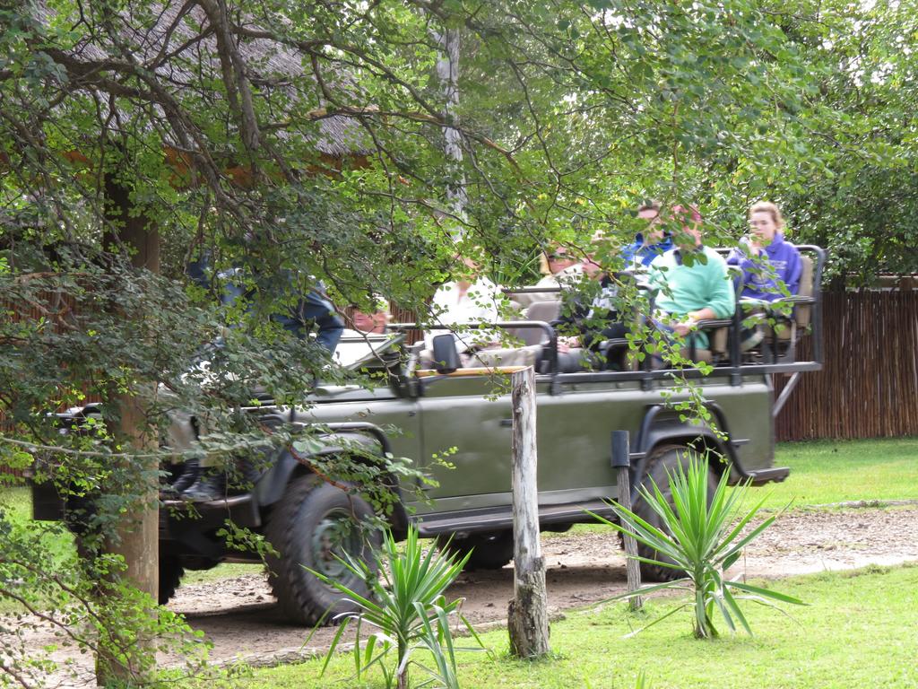 Gomo Gomo Game Lodge
