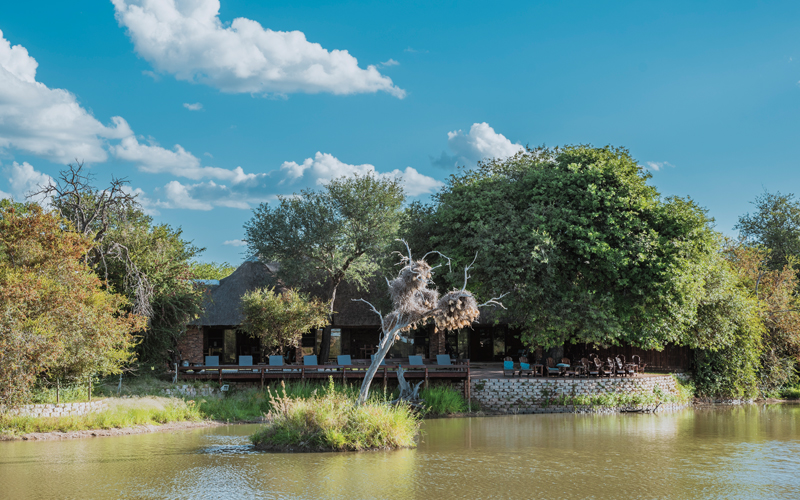 Gomo Gomo Game Lodge