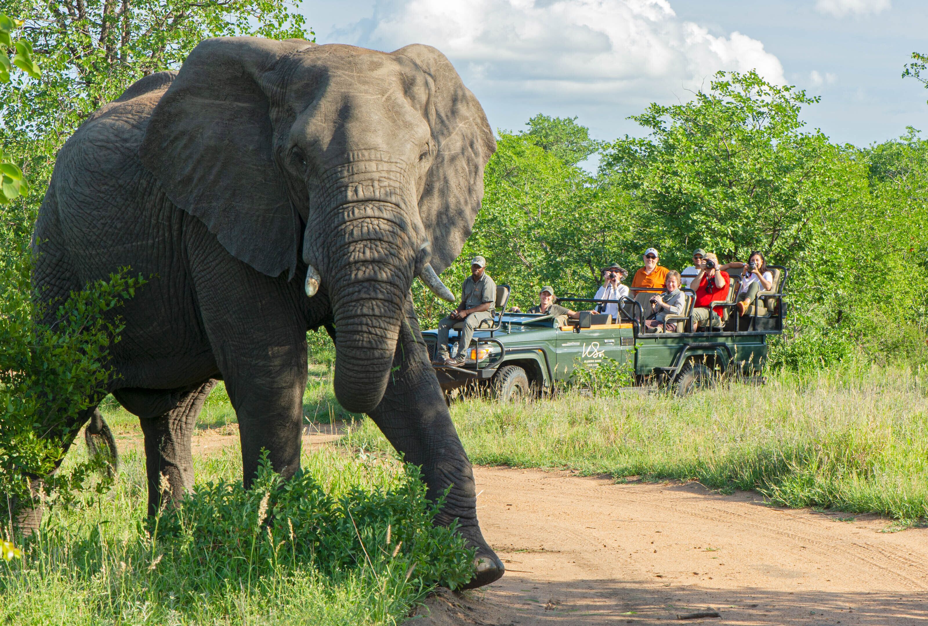 Tulela Safari Lodge