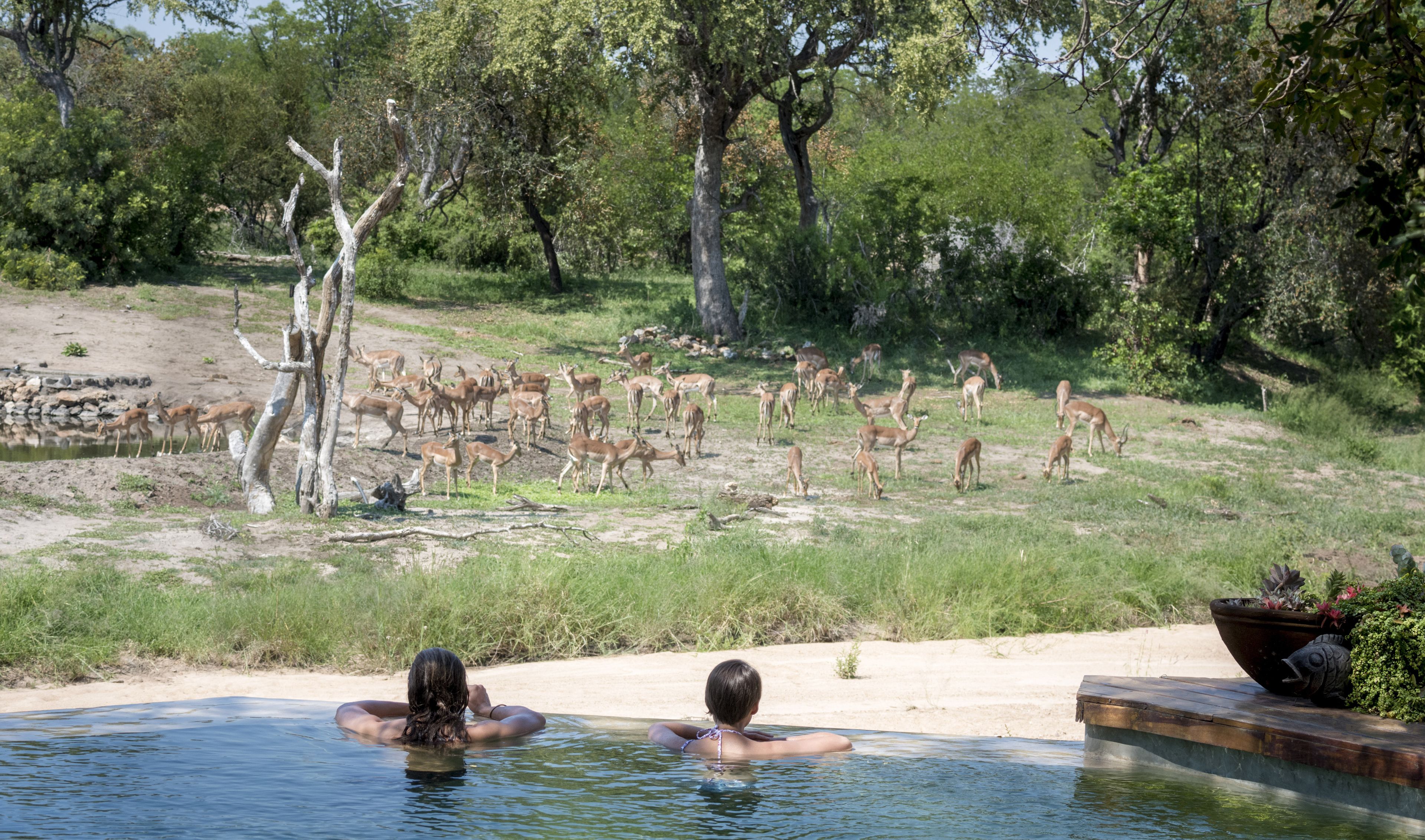 Tulela Safari Lodge