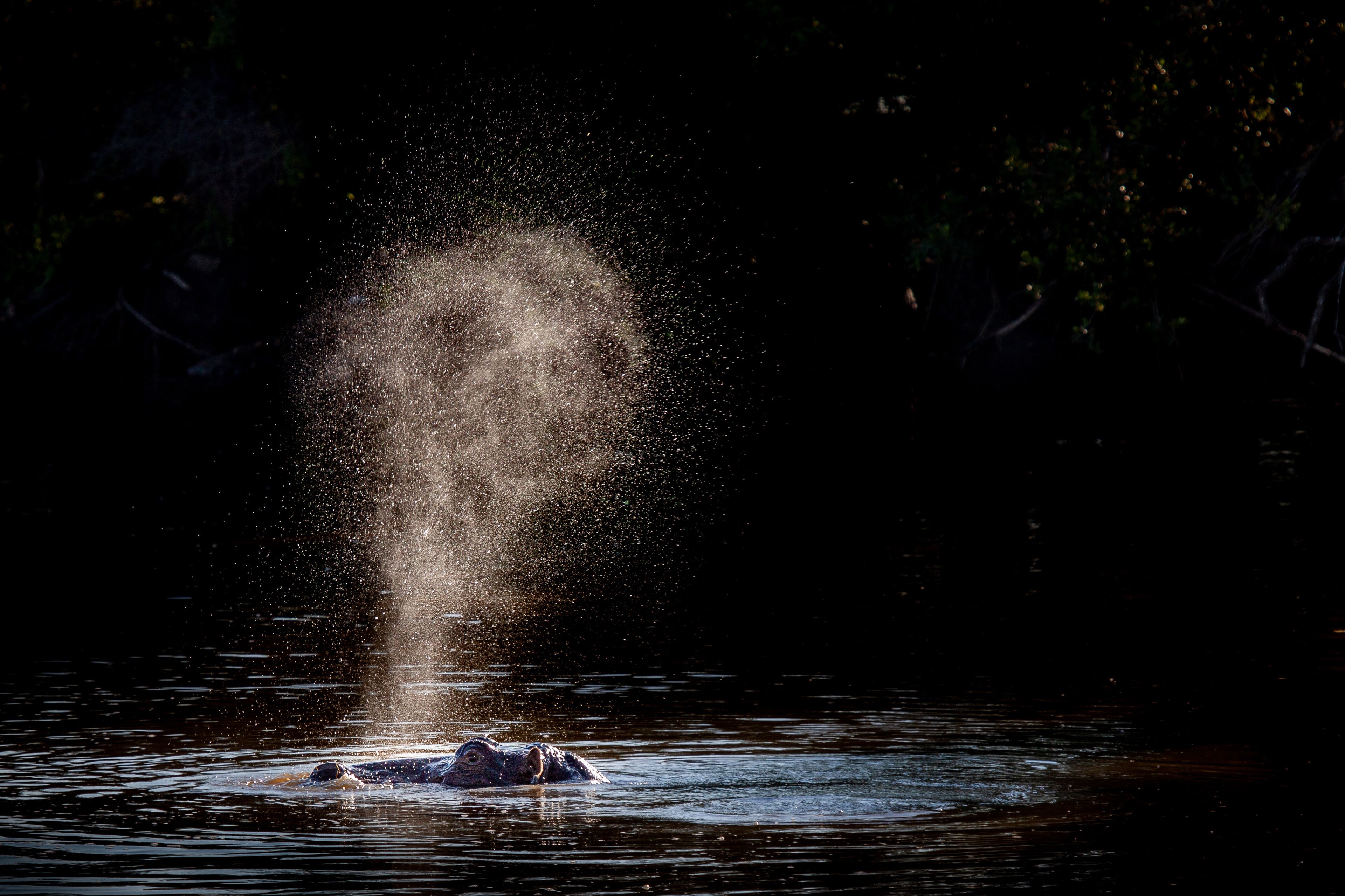 Tulela Safari Lodge