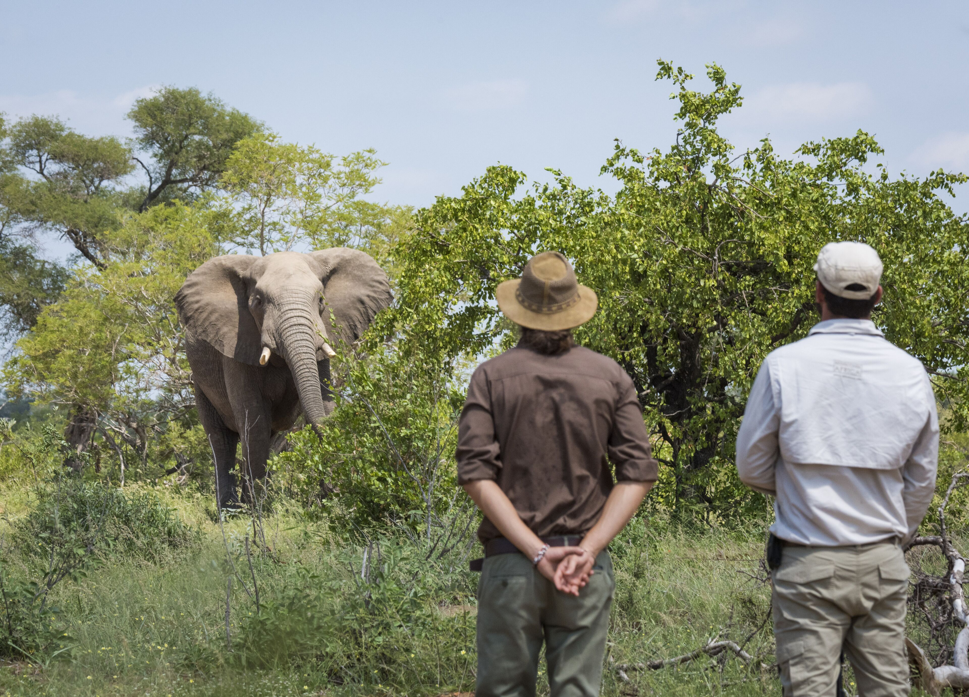 Tulela Safari Lodge