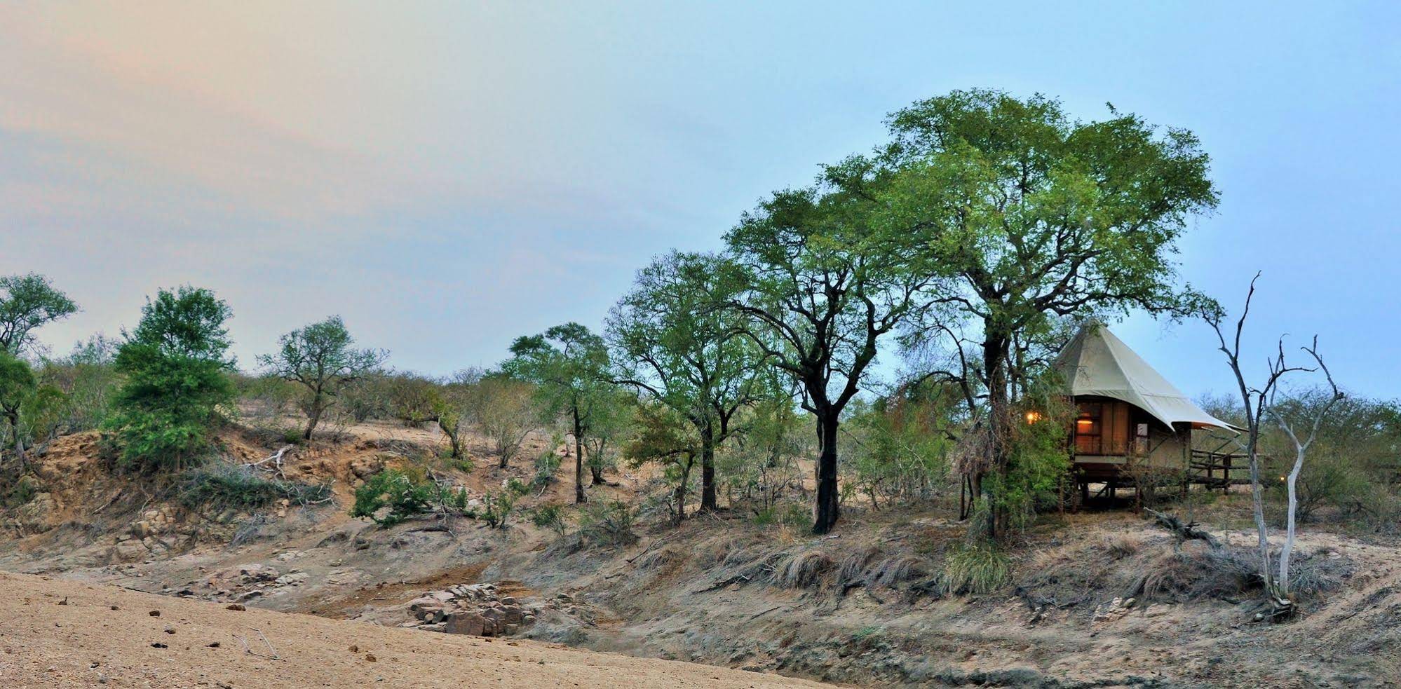 Hamiltons Tented Camp