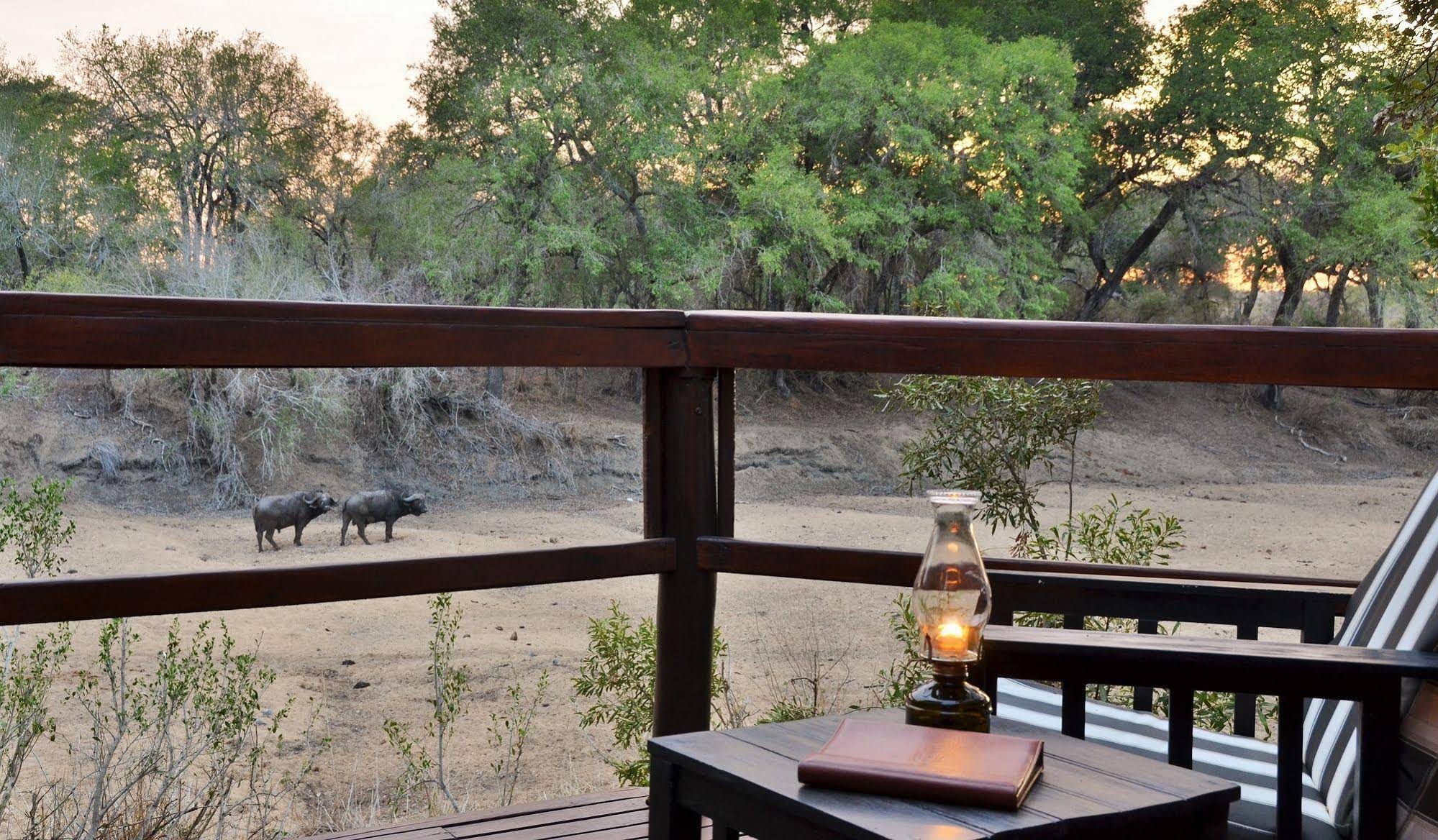 Hamiltons Tented Camp