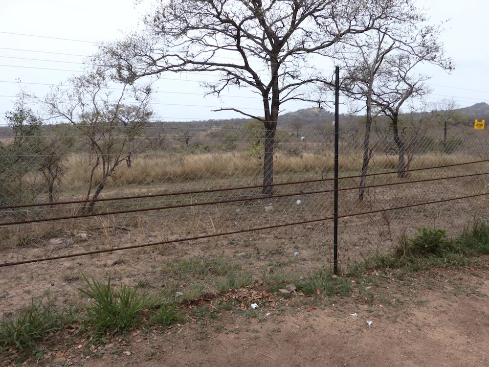 Kruger Park Tours
