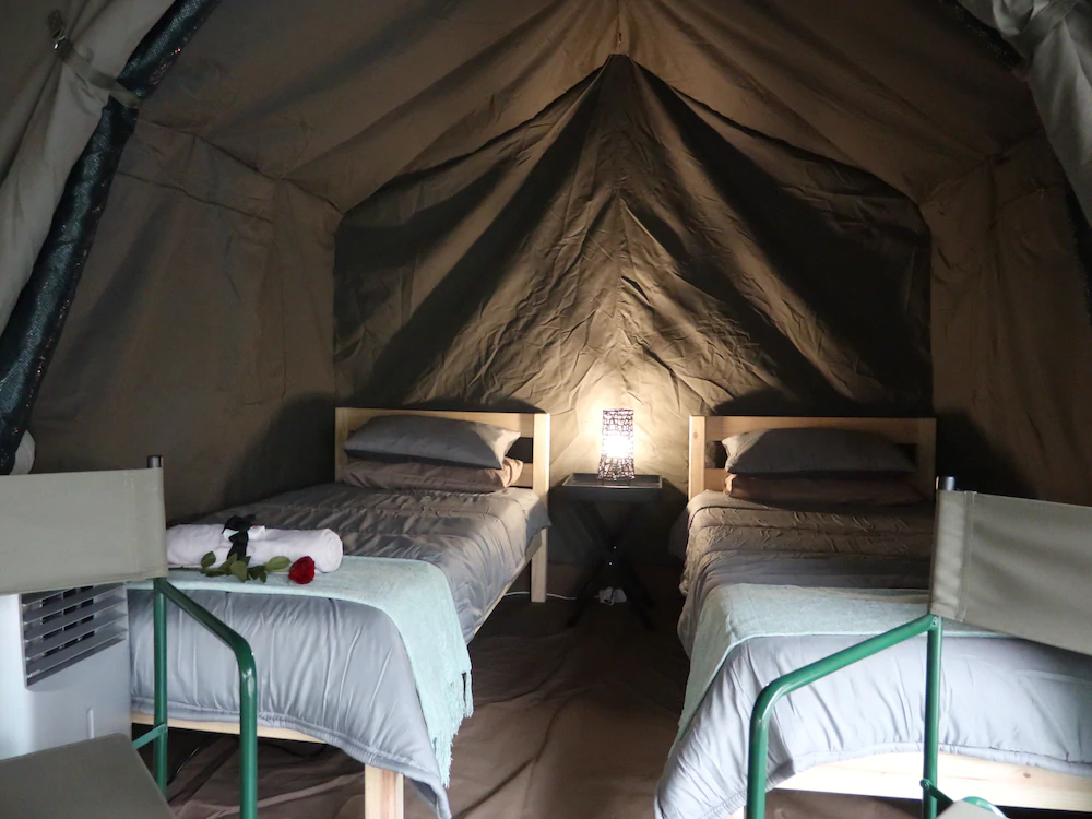 Kruger Park Tours