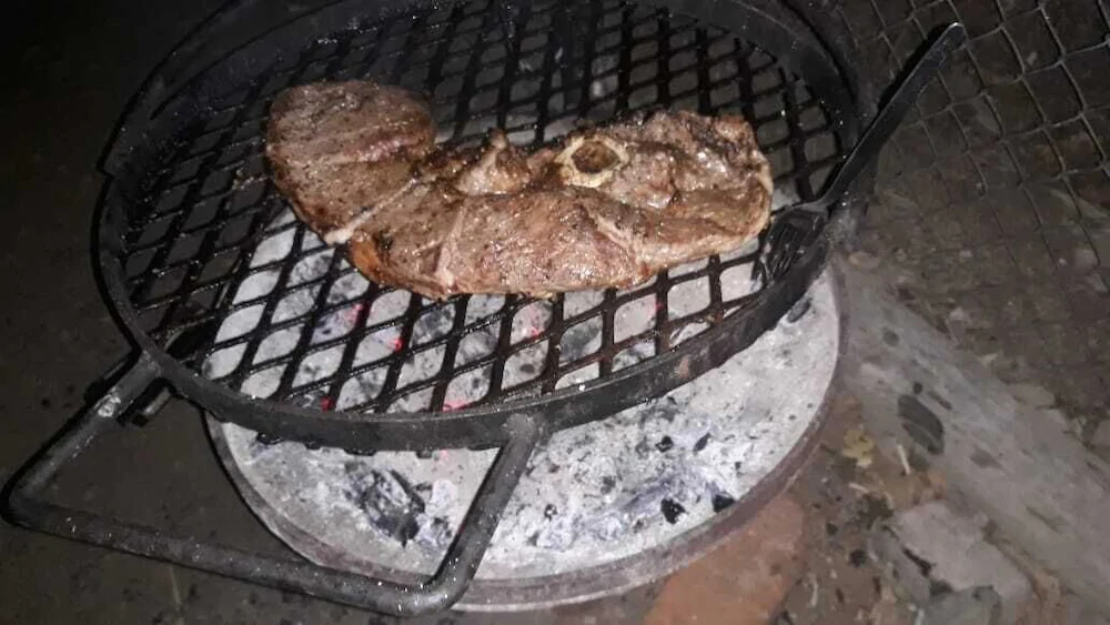 Kruger Park Tours