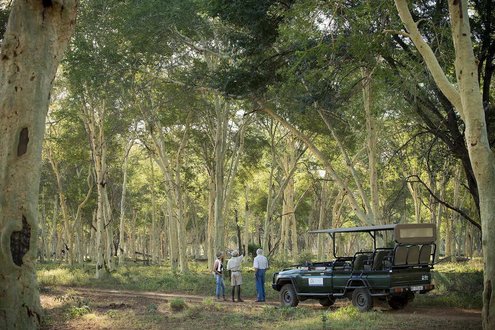 Pafuri Luxury Tented Camp