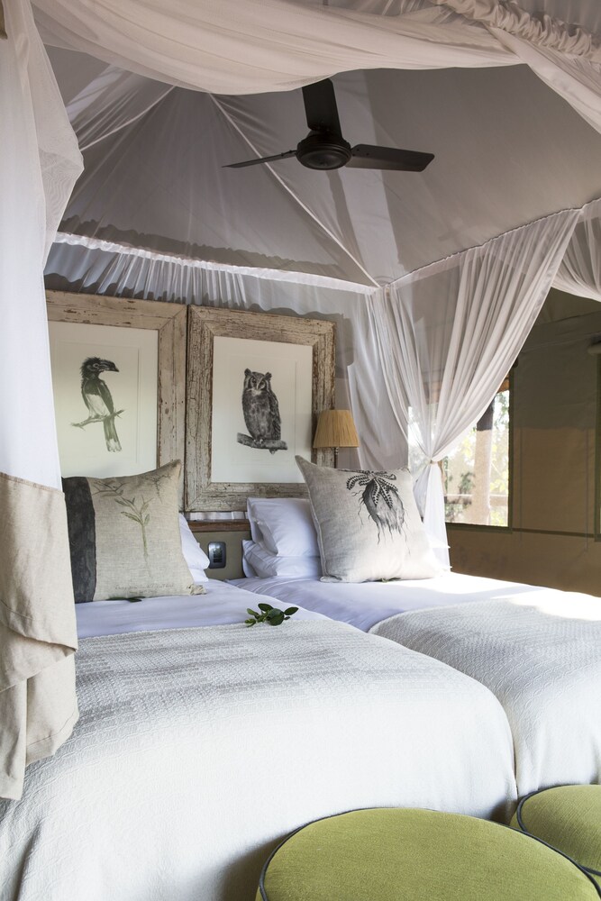 Pafuri Luxury Tented Camp