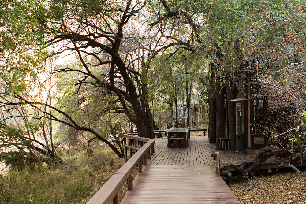 Plains Camp @ Rhino Walking Safaris
