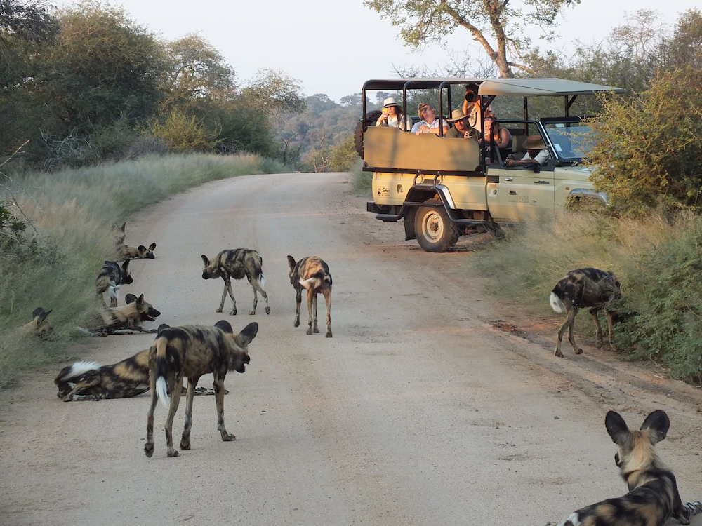 Plains Camp @ Rhino Walking Safaris
