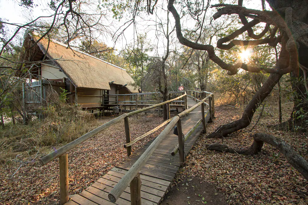 Plains Camp @ Rhino Walking Safaris