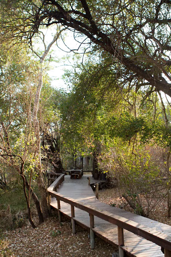 Plains Camp @ Rhino Walking Safaris