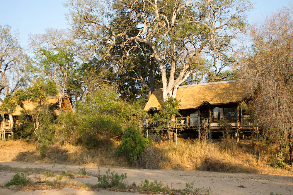 Plains Camp @ Rhino Walking Safaris