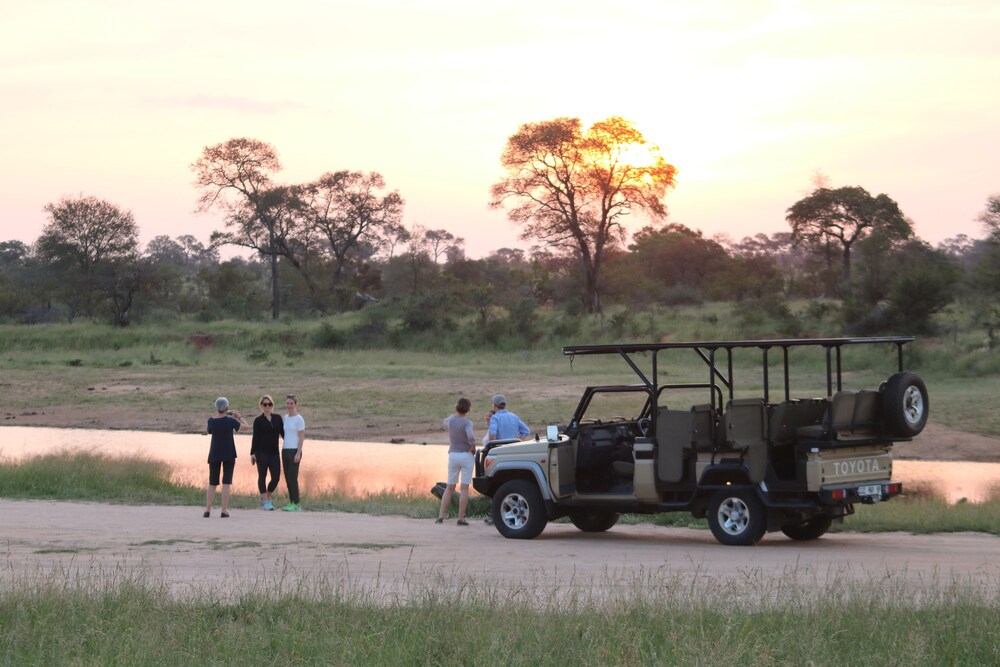 Plains Camp @ Rhino Walking Safaris