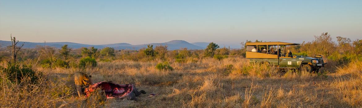 Shishangeni Private Lodge